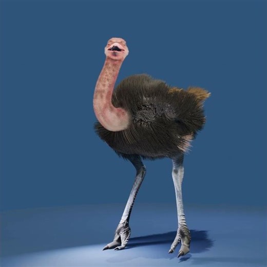3D Animals - Ostrich #shorts #animalcharacters #animaldesign