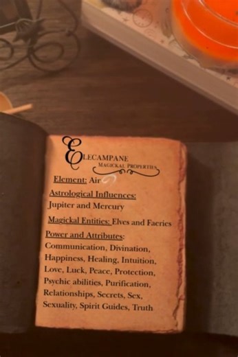 ✨ Magickal Properties of Elecampane ✨ Known as Elena Campana; this golden herb carries the warmth of the Sun and the whisper of ancient healers. Elecampane is a root of power: for protection, courage and clarity of spirit. Burn it to banish lingering energies or brew it to awaken your inner light. 🌿🔥 Let its earthy magick reconnect you to your strength and your sacred breath. 🖤 Crafted with intention by Enchantress Creations 🖤 #ElecampaneMagick #HerbalWitchcraft #EnchantressCreations #RootMa