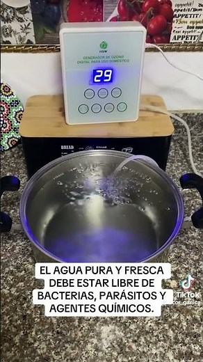 Generador de Ozono HGW – Purificación y Desinfección de Ambientes, Agua y Alimentos
