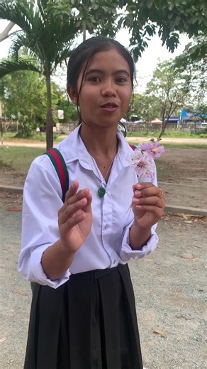 Delicious Sweet Recipes for Everyone