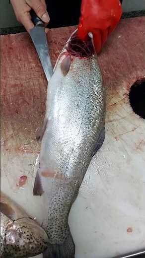 How to clean salmon and remove bones #salmon