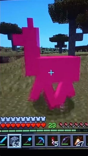 Wierd minecraft texture glitch? #minecraft #gameplay #glitches #bugrock