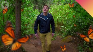 464K views · 2K reactions | The monarch butterfly migration is one of nature’s greatest events. I got to go there. Get ready for an amazing story of science, instinct, and navigation. Then, follow me to Atlas Obscura to learn about the discovery of this place. | Be Smart • PBS | Facebook