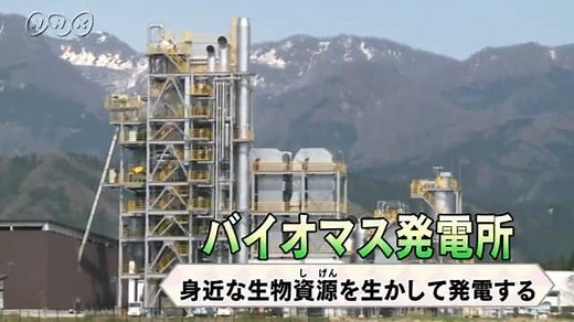 バイオマス発電　これからの課題 | NHK for School