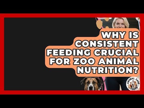Why Is Consistent Feeding Crucial For Zoo Animal Nutrition? - Animal Care Jobs
