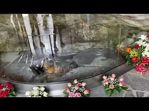 August 8, 2022 - Lourdes grotto - flow of water where Mary appeared to Bernadette
