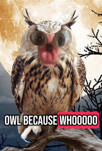 Hellina Handbasket on TikTok