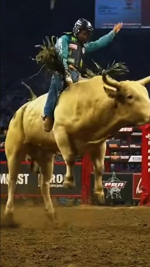 Bushwacker Almost Kills the Rider! 😱