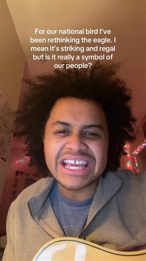 Kata on Instagram: "A bird song about replacing the eagle. #originalsong #guitar #birds"