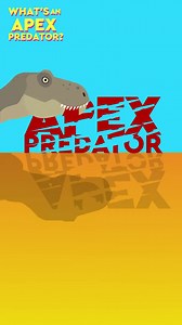 Learn what defines an apex predator in the natural world