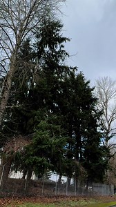 1999 Honda S2000 Reserve Deposit Required - $2000 Reserve Deposit ; goes towards final price of the car. Paying with Cash or Finance, process is the same for deposit. Shipping is separate from purchase price of car. Miles: 179,663 km’s (111,637 US Miles) Verified Features: F20C VTEC Inline 4 Motor 6 Speed Manual New OEM Paint Factory 16” Wheels Factory Front Bumper Factory Rear Bumper Factory Side Skirts Factory Steering Wheel Factory Shift Knob Factory Driver Seat Factory Passenger Seat Factory