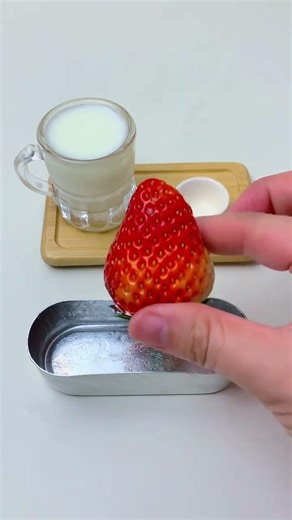 Tiny Lunch Box: The Comfort of Home - Family Edition