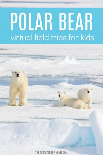 Polar Bear Virtual Field Trips for Kids - The Educators' Spin On It