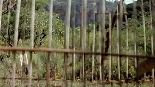 9014-La Niña En La Piedra (2006) DVDRip Lat mx v