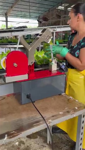 Innovative Packaging Technology Solutions
