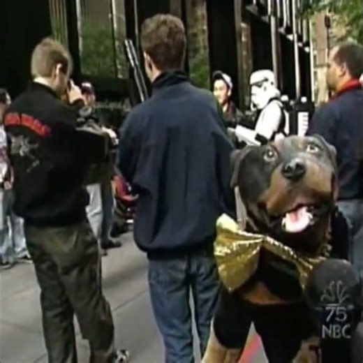 "Return Of The Dorks" -Triumph The Insult Comic Dog At Star Wars Sequel Premiere W/ Fans (2002)