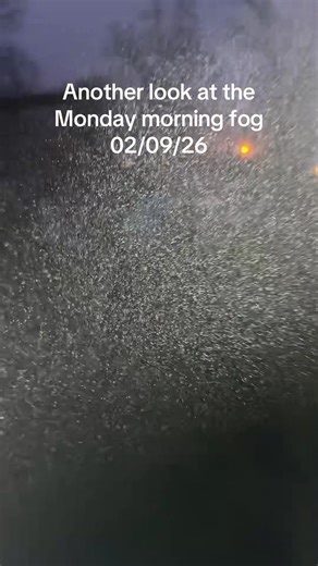 Weird Monday Morning Fog: A Unique Sight