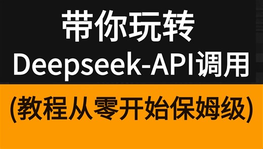 2025新版【Deepseek R1本地部署】一次讲完Api接口调用 （终端 Python代码 搭建网站）最新教程入门到精通这一套就够了！