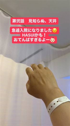 らんまるぽむぽむタイプα on Reels