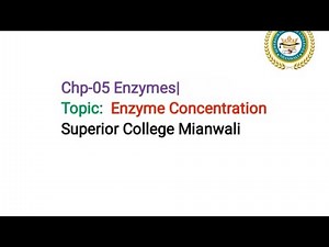 Effects of substrate and enzyme concentration on enzyme Action