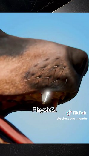 Développe ton intelligence avec la physique!