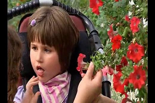 Cbeebies Something Special Learn With Mr Tumble - Butterfly