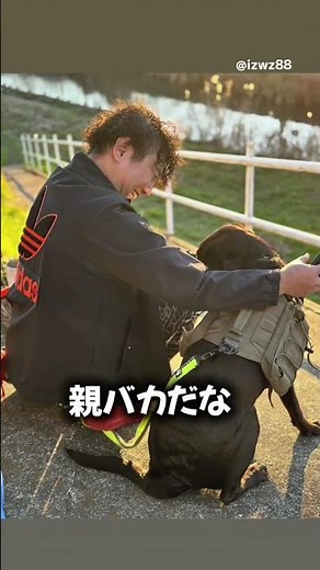 ラブラドールと暮らした結果、生活がこう変わりました #ラブラドールレトリバー #犬のいる生活 #癒し動画 #犬動画 #犬好き