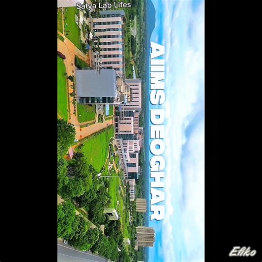 AIIMS Delhi: A Journey Through India's Most Elite Medical School