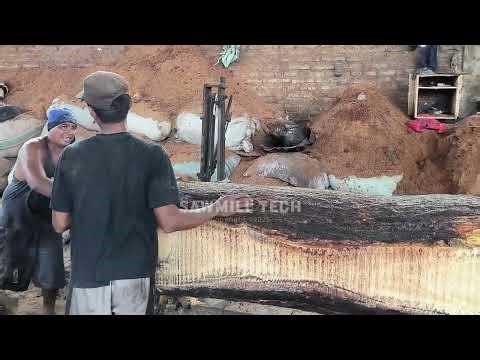 High Value Timber Processing – Full Sawmill Action