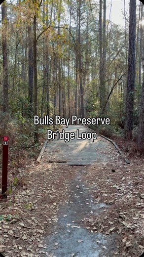 🥾 Trail Review: Bulls Bay Preserve Bridge Loop 📍 Jacksonville, Florida ⭐️ 2.5 stars This easy 1-mile loop connects off the Old Plank Trail and crosses a small bridge through Bulls Bay Preserve’s wetland landscape. Expect flat terrain, shaded stretches, big oak trees, and occasional lily pond views—nice and peaceful, but nothing that really wows. My take: it’s fine. Not a must-do on its own, but worth adding to your route if you’re already hiking the Waterfall Loop nearby. Think of it as a bonu