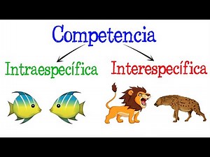💥Intraspecific and Interspecific Competition💥 [Easy and Fast] | BIOLOGY |