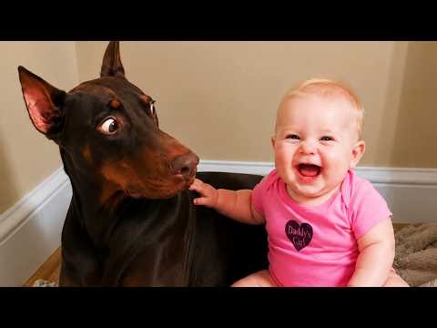 Try Not To Laugh: Adorable Babies & Funny Dogs - Cute Baby Video || CUTE WEE
