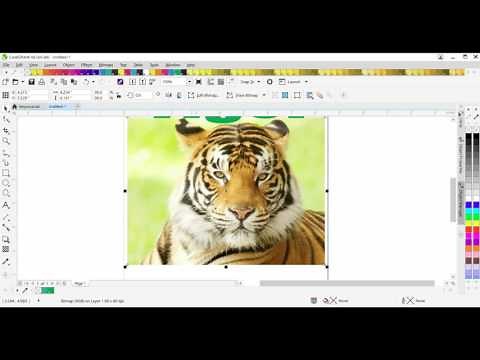How to do CMYK 4 Color Process In Coreldraw