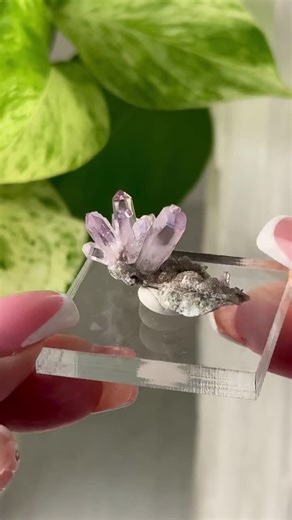 Vera Cruz Amethyst Crystal Cluster // Natural Purple Mineral Rock Raw Stone Specimen Collectible Display