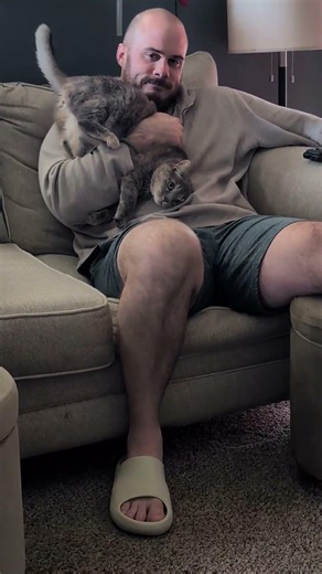 Silly Dorcas 😹😹😹😹😹