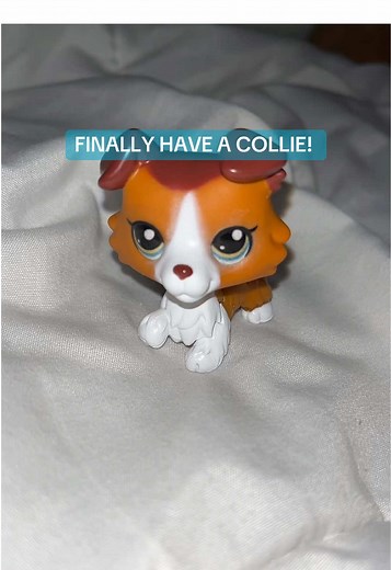 Littlest Pet Shop Collie: A Playful Introduction