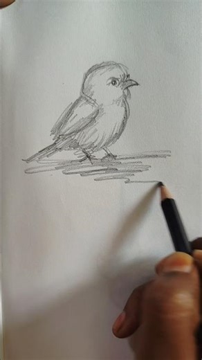 pencil drawing #pencildrawing #art #youtubeshorts