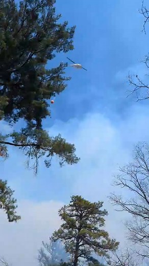 Ewok BIG RIDGE FIRE Rabun County GEORGIA | My Wildfire World