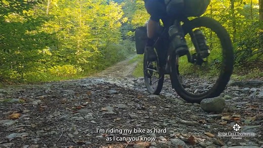 For years, Stephen endured debilitating shoulder pain and neuropathy that severely impacted his quality of life. Everyday activities like running, carrying groceries, and even sleeping, became increasingly difficult. Traditional medical options offered little promise, with surgery or simply learning to live with the pain presented as the only paths forward. Determined to find an alternative, Stephen began researching and chose to receive treatment at Stem Cell Institute. Gradually, his symptoms 