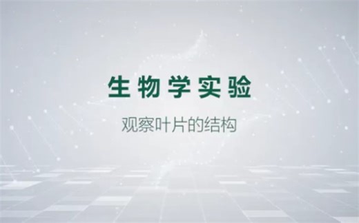 生物学实验4