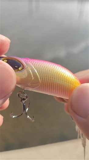 PackforTrail_us on Instagram: "This floating crankbait is designed to trigger instant reaction strikes. The red-gold gradient body throws powerful flash underwater, while the rear feather treble adds extra movement and attraction on the pause. Slow retrieve, twitch, stop… that feather keeps dancing — fish can’t resist. Perfect for bass, snakehead, pike and aggressive predators. Durable body, razor-sharp hooks, strong split rings — built for real fights. 👉 Visit our profile homepage to get yours