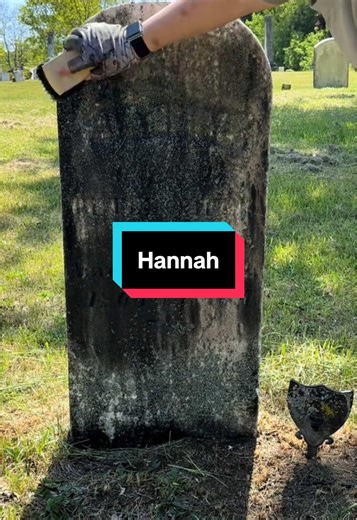 Effective Cemetery Cleaning with D2 Biological Solution