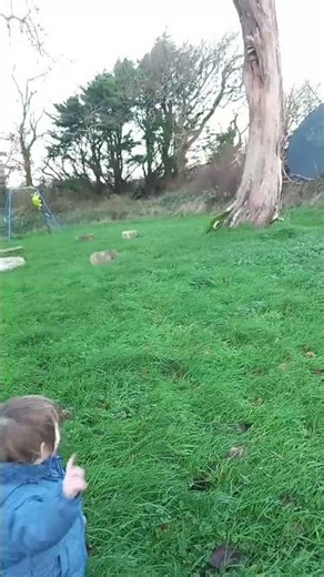 storm bram - South East Ireland