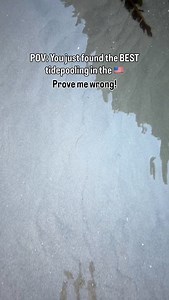 Save this for your next tidepooling bucket list trip! Haystack Rock in Cannon Beach is not just the rock from The Goonies…it is one of the best tidepooling spots in the entire country! Send this to someone who loves tidepooling ➡️ Follow @type1detour for our fulltime travel life with kids! | Type1Detour