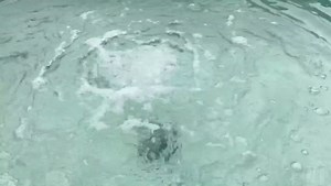 Pond Air Diffuser with Anti-Backflow Onw Way Check Valve, Weighted Base for Pond Aeration, Enhances Water Circulation and Oxygenation – Ideal for Koi Ponds, Garden Ponds, Water Features