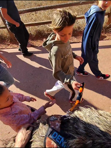 new emu wranglers at the park #friends #pet #PetsOfTikTok #happy | pets