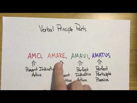 Latin - The Principal Parts Of Verbs