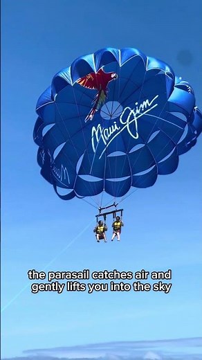 How Parasailing Works