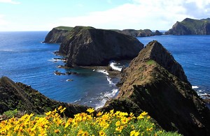 13 Channel Islands National Park Facts
