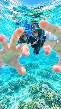 ASMR Japan’s Ishigaki Island Ocean Swim 🐠💤